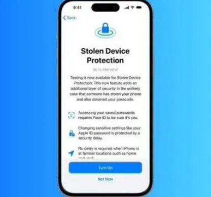 紫阳苹果授权维修店分享被盗设备保护功能开启方法 