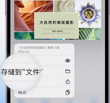 紫阳apple维修中心分享iPhone文件应用中存储和找到下载文件