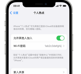 紫阳apple服务站点分享iPhone上个人热点丢失了怎么办 