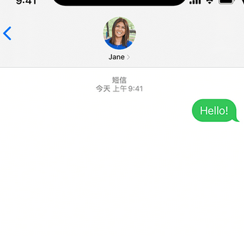 紫阳apple维修iPhone上无法正常发送iMessage信息