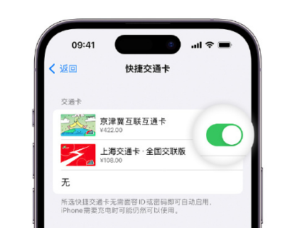 紫阳apple维修点分享iPhone上更换Apple Pay快捷交通卡手绘卡面 