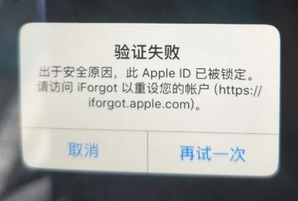 紫阳iPhone维修分享iPhone上正常登录或使用AppleID怎么办 