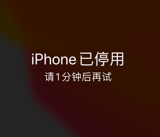 紫阳苹果手机维修分享:iPhone 显示“不可用”或“已停用”怎么办？还能保留数据吗？ 