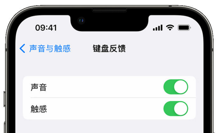 紫阳苹果手机维修分享iPhone 14触感键盘使用方法 