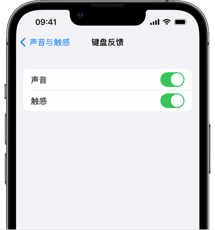 紫阳苹果14维修店分享如何在 iPhone 14 机型中使用触感键盘 