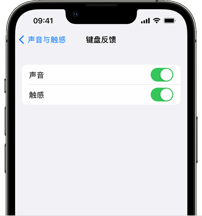 紫阳苹果14维修分享iPhone 14 系列机型如何开启键盘声音或触感反馈 