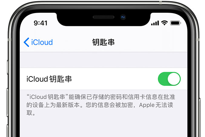 紫阳苹果手机维修分享在 iPhone 上开启 iCloud 钥匙串之后会储存哪些信息 