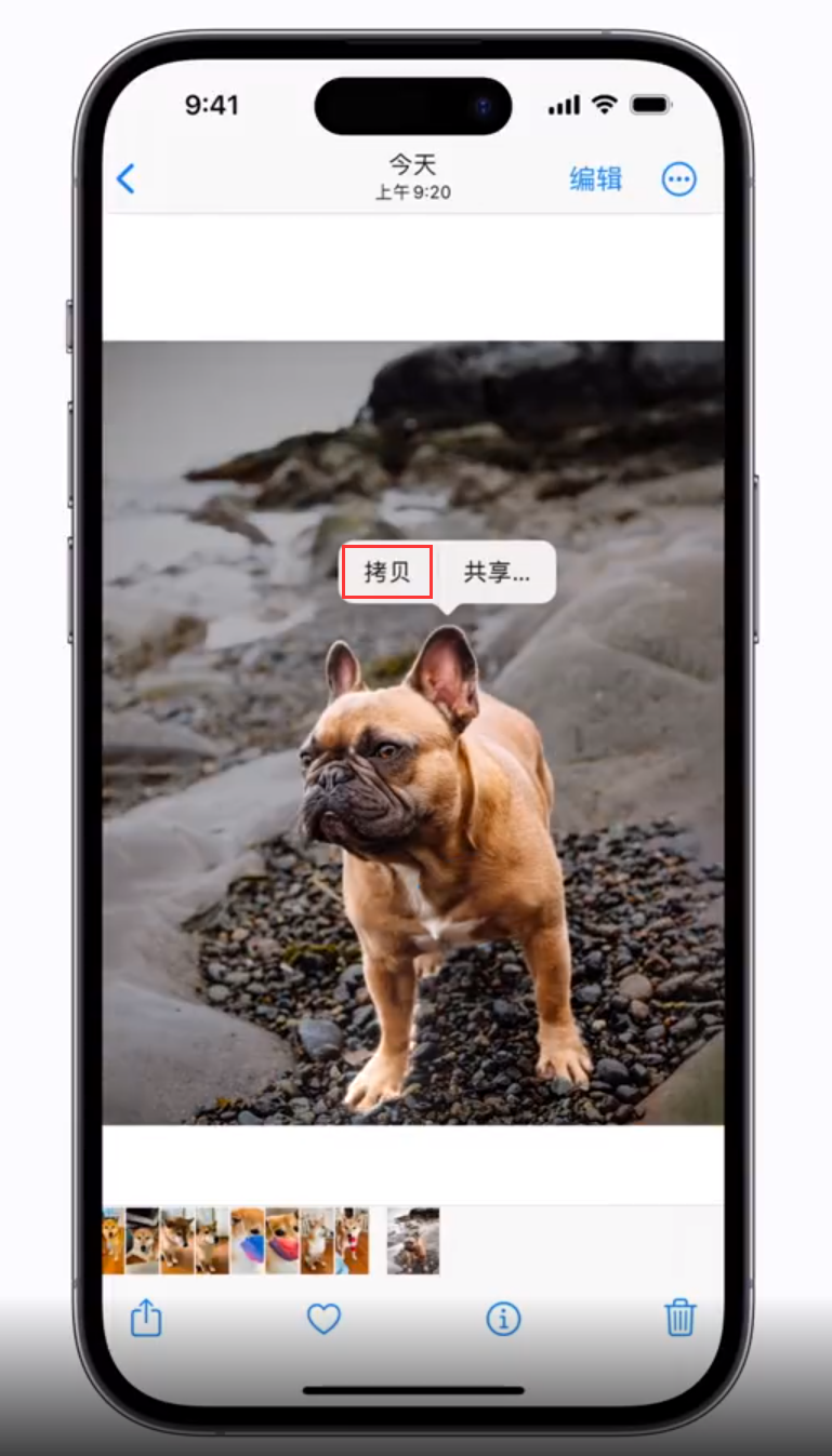 紫阳苹果手机维修分享 iOS 16 自带一键抠图功能 