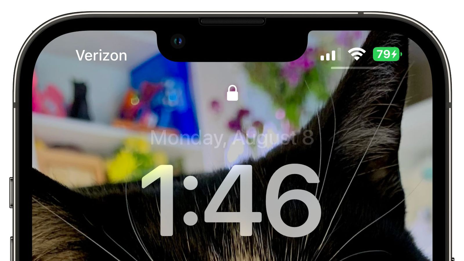 紫阳苹果手机维修分享iOS 16 beta 5 支持状态栏显示电池百分比，如何开启？支持哪些机型 