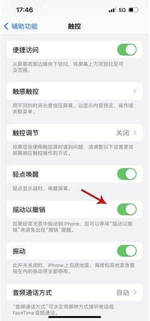 紫阳苹果手机维修分享iPhone手机如何设置摇一摇删除文字 