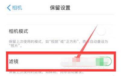 紫阳苹果13维修分享iPhone13拍照有绿点是怎么回事 