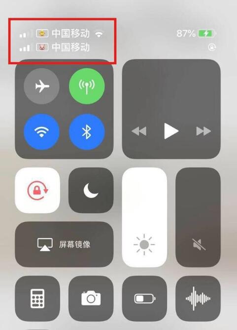 紫阳苹果手机维修分享为 iPhone 12 双卡设置标签 