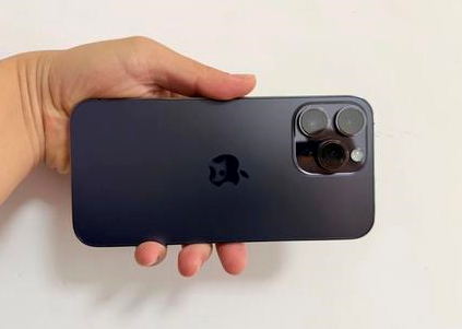 紫阳苹果维修点分享iPhone 14 Pro Max黑屏少见故障盘点 